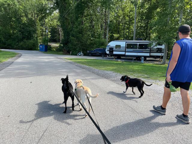 image from The Furry Companions