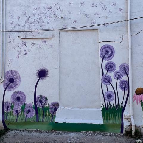 photo-7.jpg