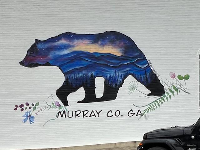 image from Beautiful Mural in Chatsworth, GA