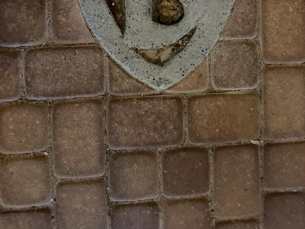 photo-10.jpg