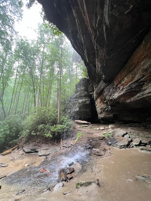 Waterfall on our 1.5 mile hike