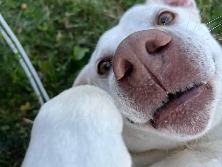 image from Coco says “Hi"
