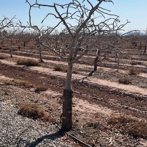 photo-6.jpg