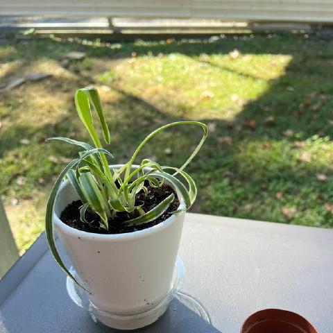 photo-2.jpg