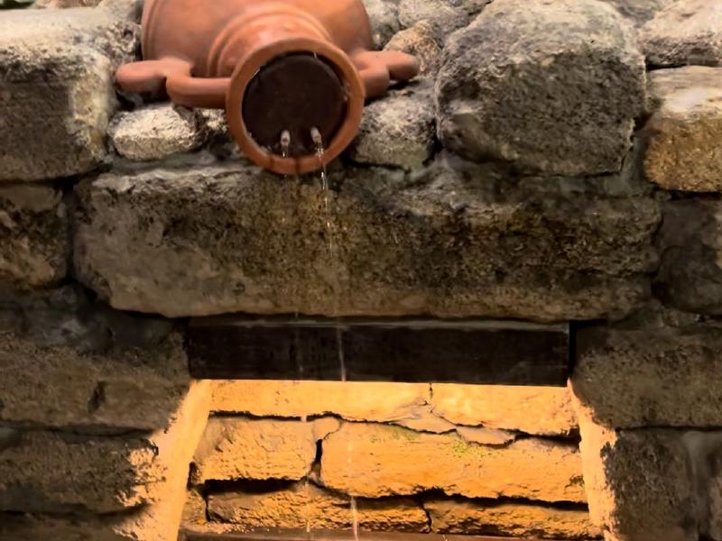 image from Drinking from the "Fountain of Youth"