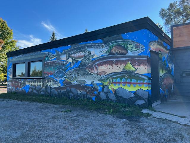 image from Enjoy the second batch of mural artwork from Alpena