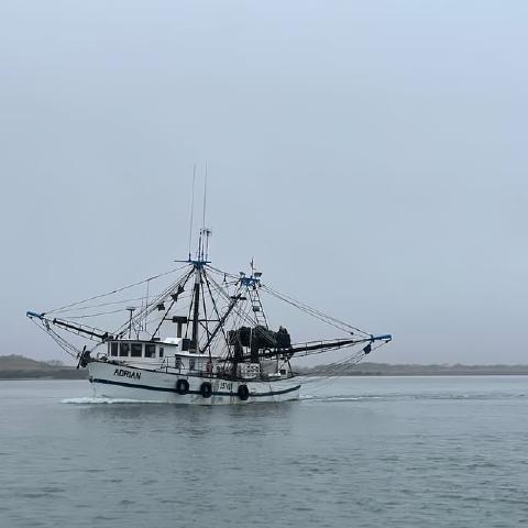 photo-3.jpg