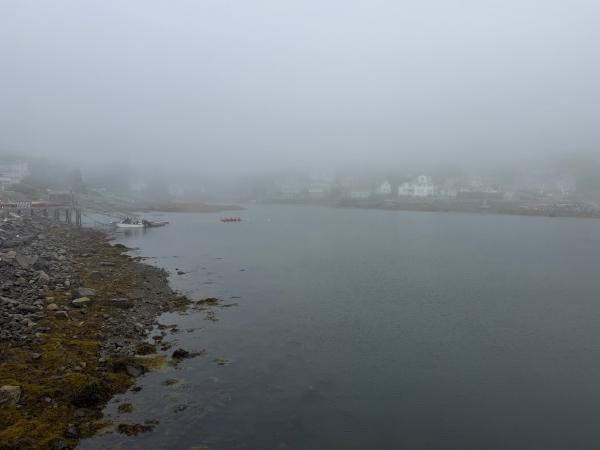 photo-5.jpg