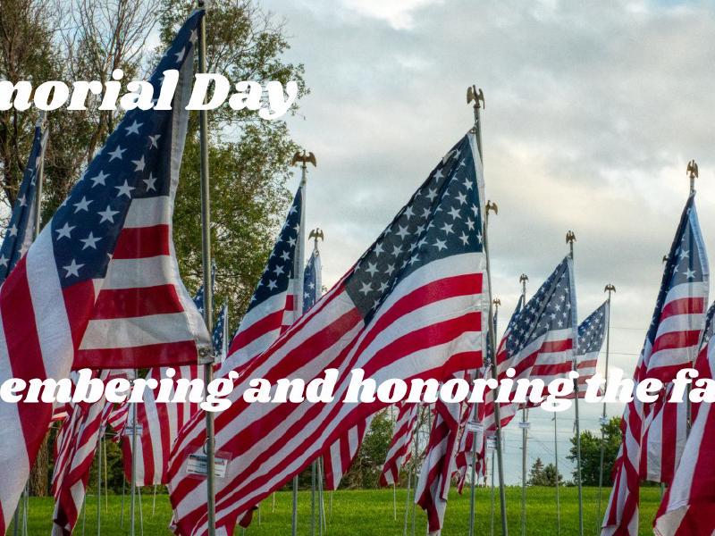 image from Honoring Heroes: Memorial Day Reflections on the Road