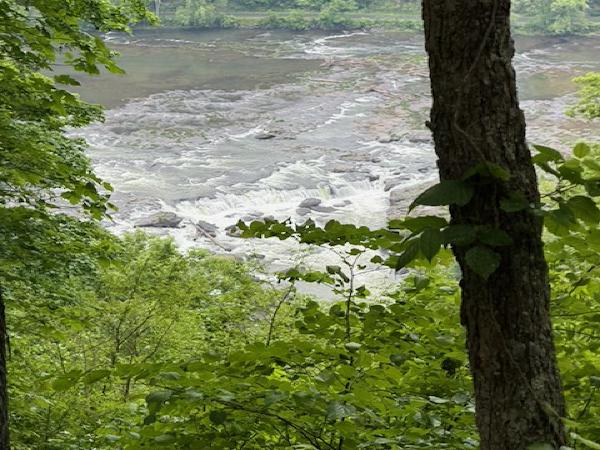photo-5.jpg