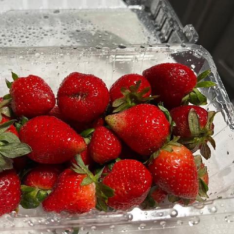 photo-5.jpg