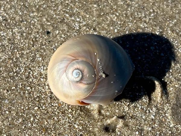 photo-9.jpg