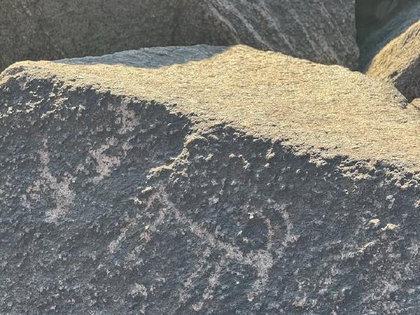 photo-4.jpg