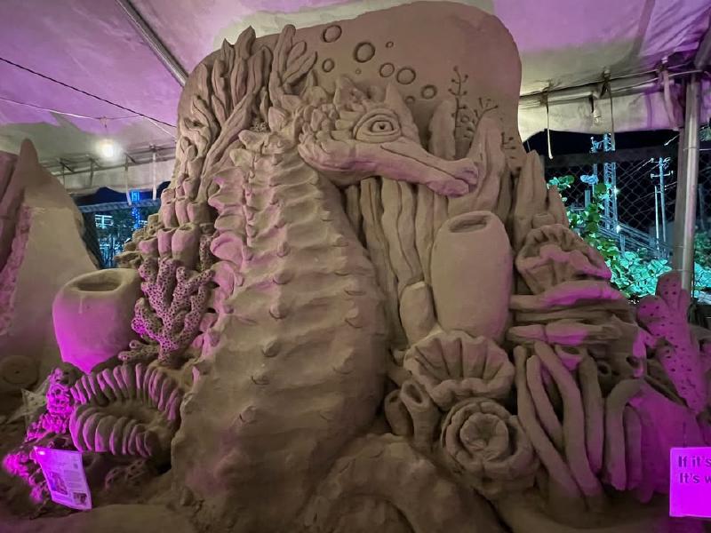 image from South Padre Island's Holiday Sandcastle Village