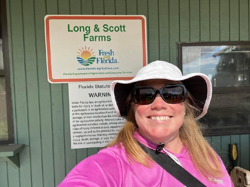 image from Strawberry Picking Season in Mountain Dora, Florida