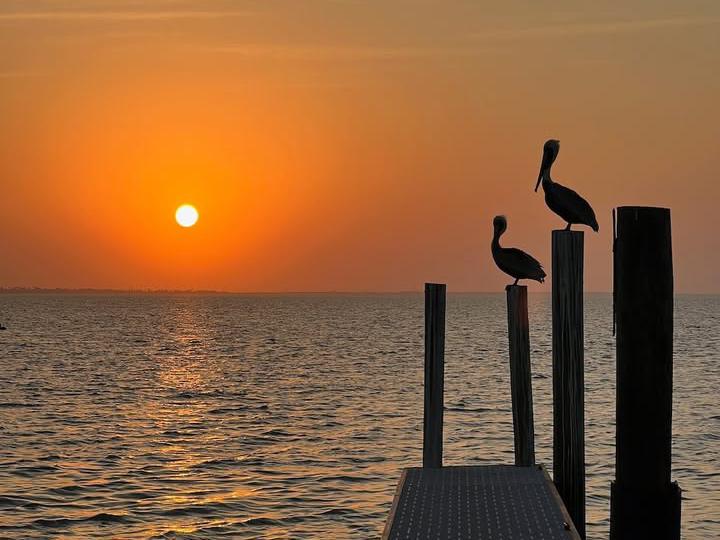 image from Sunsets of South Texas