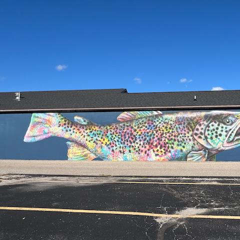 photo-5.jpg
