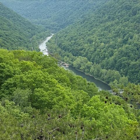 photo-5.jpg