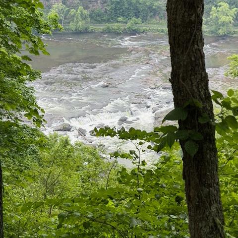 photo-5.jpg