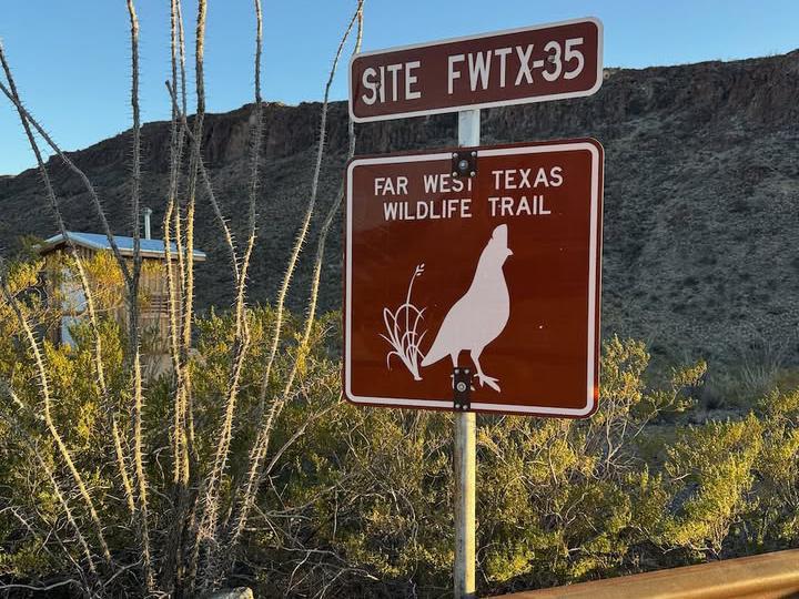 image from There is so much amazing hiking in the Big Bend area
