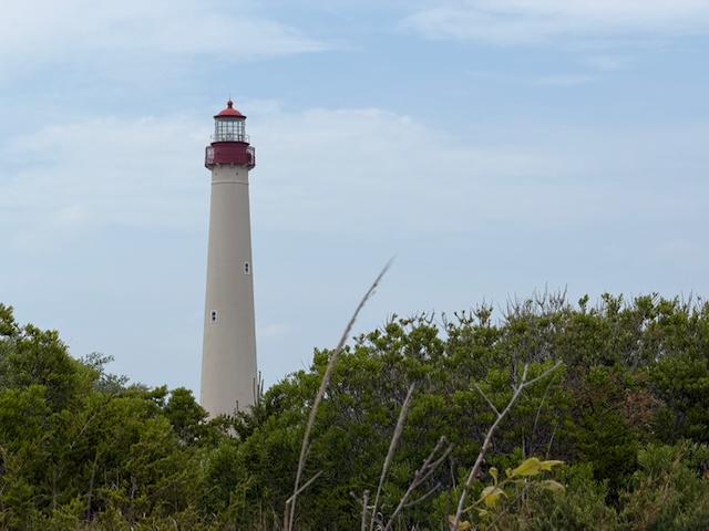 image from Visit to Cape May Point State Park