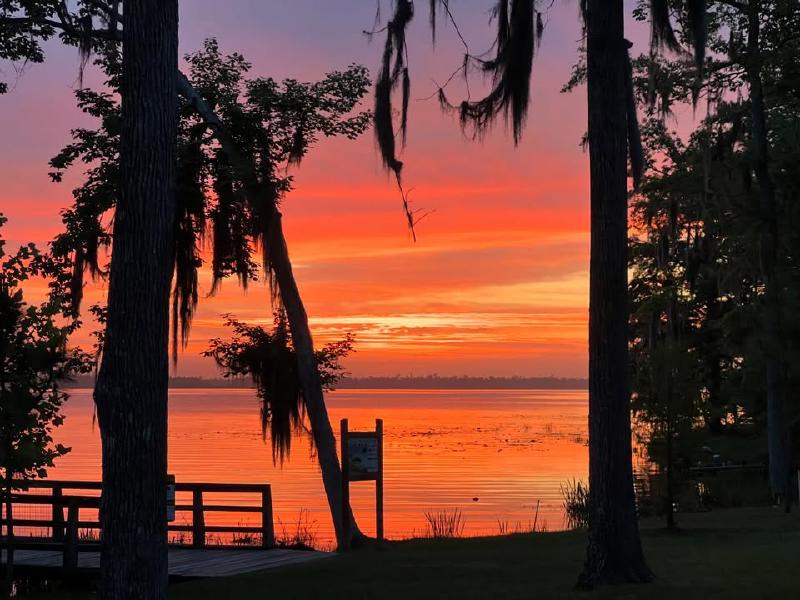 image from Sunrise over Lake Seminole