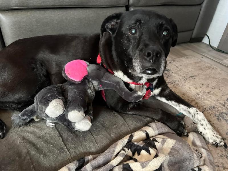 image from Tucker showing off his Christmas gift!