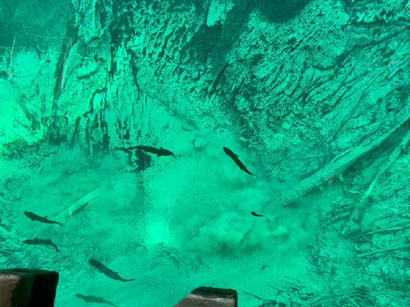 image from Video from Kitch-iti-kipi
