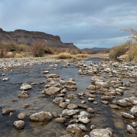 photo-7.jpg
