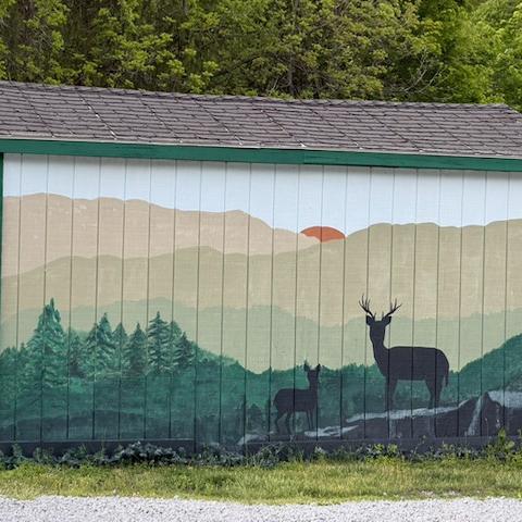 photo-10.jpg
