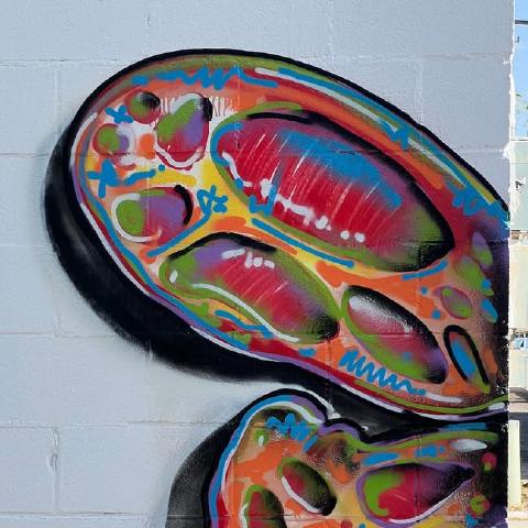 photo-3.jpg