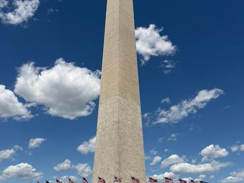 image from Walking DC's National Mall: 15,000 Steps of History