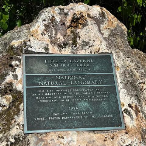 photo-2.jpg